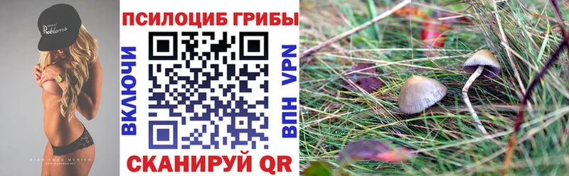 Купить где  Светлогорск  Псилоцибиновые грибы Psilocybine cubensis 